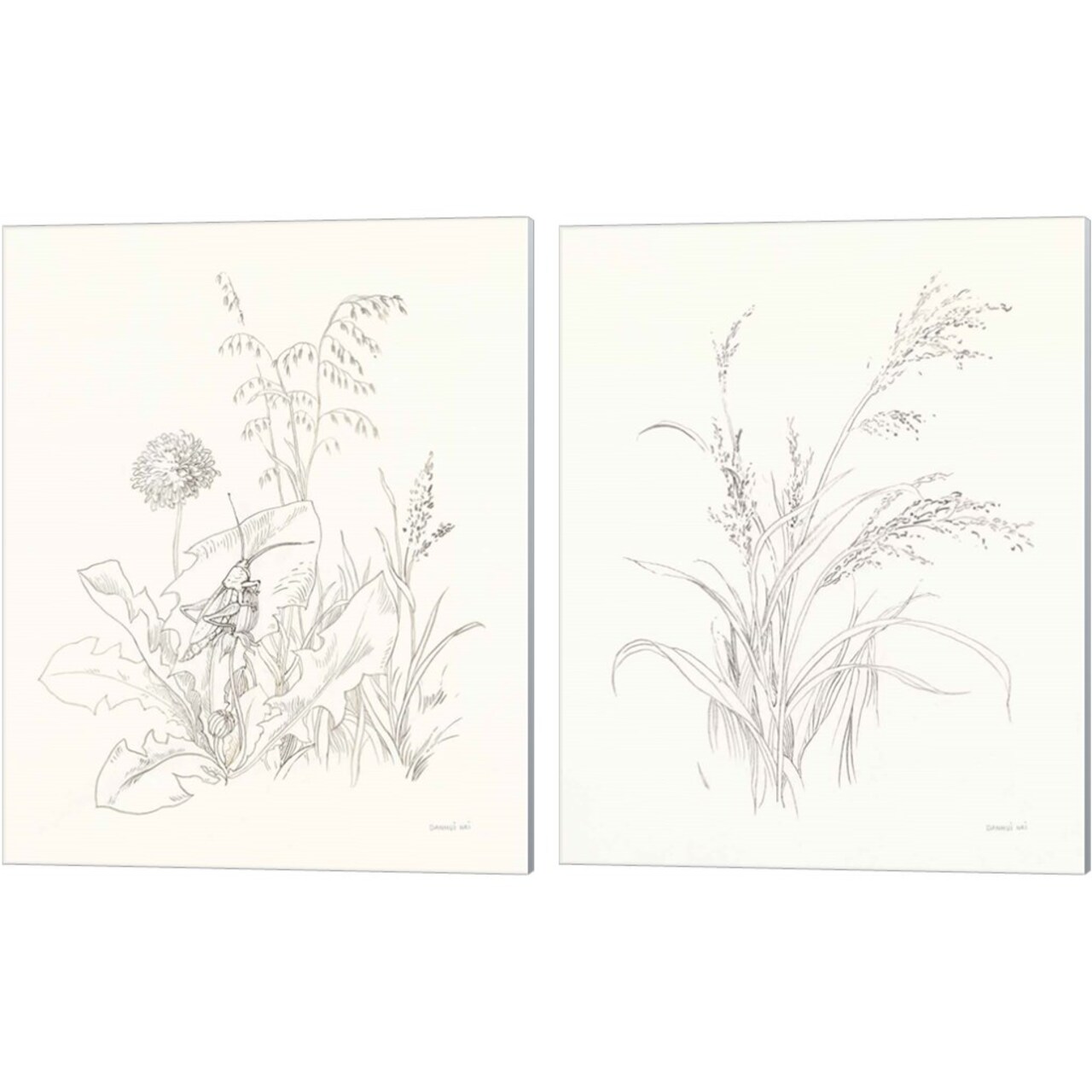 Nature Sketchbook by Danhui Nai 12" x 15" Canvas Wall Art (Set of 2)